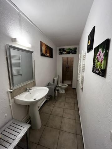 Cosy House T3 Center, Museum, Place Carnot * Carcassonne